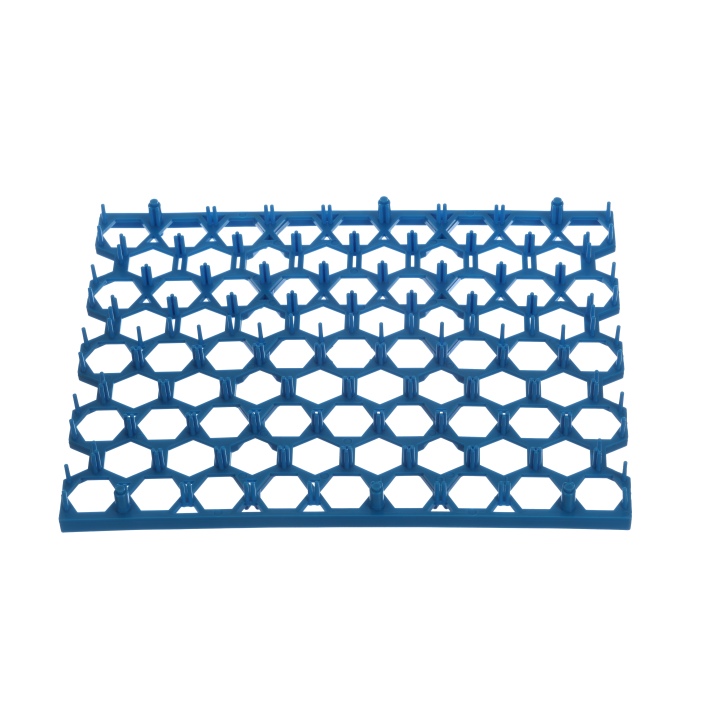 Pheasant Egg Insert - Blue