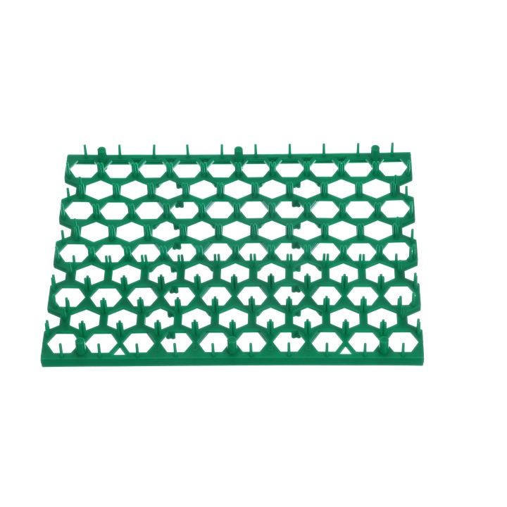 Pheasant Egg Insert - Green
