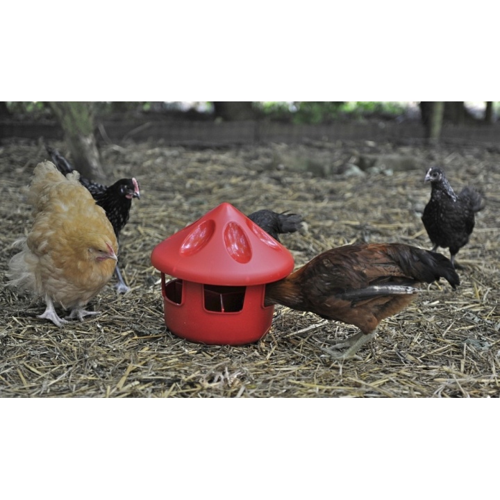 3kg Grit / Feed Station