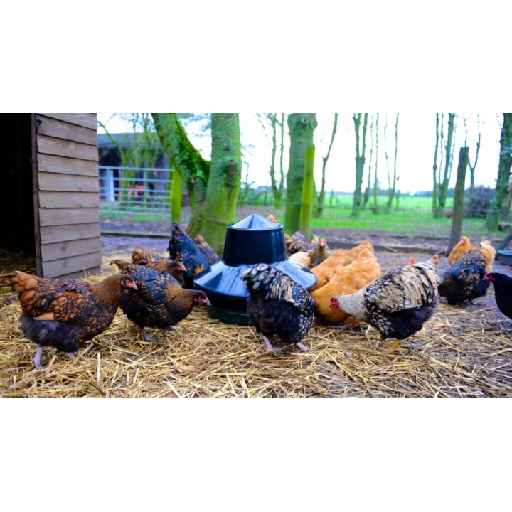 King Feeder Outdoor Feeder 25kg