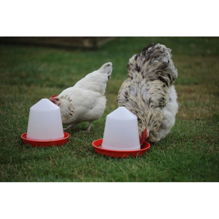 3kg Plastic Feeder