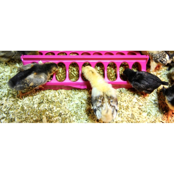 Linear Chick Feeder