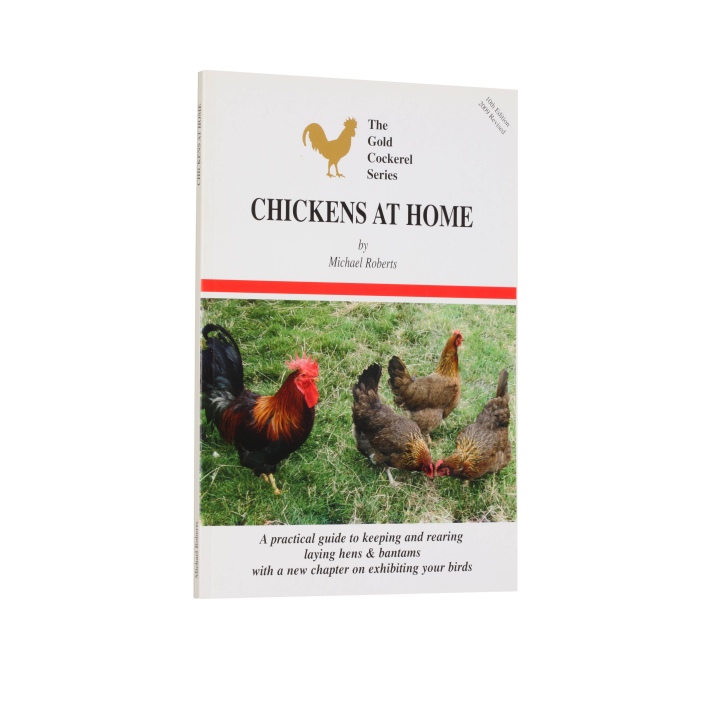 Chickens at Home
