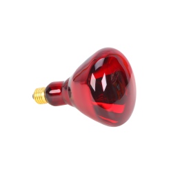 Infra-red Brooder Bulb