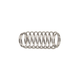 Valve Spring