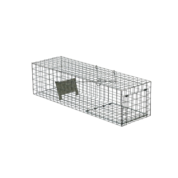 Mink/rat/squirrel Cage Trap Single Entry