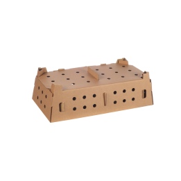 Double Chick Box (100)