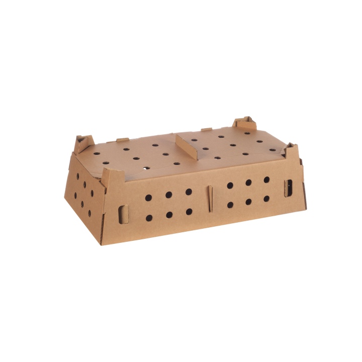 Double Chick Box (100)