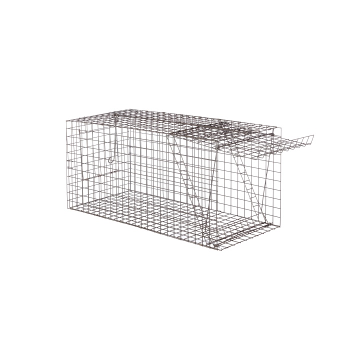 Fox Trap